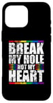 iPhone 16 Pro Max Break My Hole Not My Heart Funny Gay idea Case