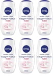 Nivea Shower Cream Indulgent Moisture Rose 250ml x 6