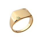 ISADY - Wonderful Gold - Bague Mixte Homme Femme - Chevalière - Plaqué Or 750/000 (18 carats) - Taille 60