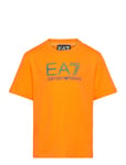 T-Shirt Sport T-shirts Short-sleeved Orange EA7