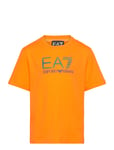 EA7 T-Shirt Orange