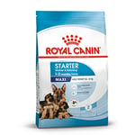 Royal Canin Starter Maxi Dog, 15 kg