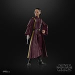 Figurine Star Wars The Black Series 15cm Padmé Amidala