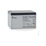 Yucel - Batterie plomb agm Y12-12 fr 12V 12Ah F6.35