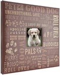 MCS Album de Scrapbooking Extensible pour Animal Domestique 10 Pages avec Couverture d'ouverture Photo et Pages de 30,5 x 30,5 cm, 34,3 x 31,8 cm, Chien