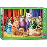 EuroGraphics- Kitten Puzzle 1000 pièces Chaton Pride, 6000-5543, Coloris Assortis, 48 x 68 cm