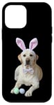 Coque pour iPhone 12 mini Yellow Lab Labrador Oreilles de lapin de Pâques Chasse aux œufs