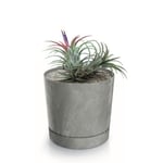 Botle Pot De Fleur Rond Gris Clair Plastique Beton Effect Cache Pot 23,1 Cm Decoratif Bac A Plantes Avec Soucoupe Fleurs