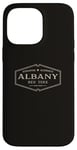 iPhone 14 Pro Max Albany New York | Historic Albany NY Case