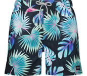 Tropics Volley badshorts Herr DARK NAVY L