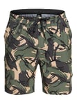 Quiksilver Taxer Cargo 18" - Boardshort Amphibian pour Homme