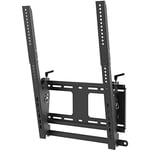 StarTech.com Portrait/Vertical TV Wall Mount - Heavy Duty TV Wall Mount - 40-55" VESA Display (110lb/50kg)- Tilting Low Profile Television Digital Signage Mount with Lockable Security Bar (FPWTLTPORT)