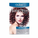 Home Perm Kit for Normal Hair - Ogilvie Salon Styles Extra Body Treatment