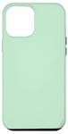 Coque pour iPhone 15 Plus Couleur vert menthe