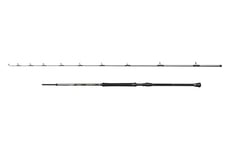 Penn Regiment IV Boat Braid Rod, Saltwater Angler Fishing Sea Fish Cod, Sea Eel, Bass, Pollock, Mackerel, Shark, Strong Leightweight & Versatile, Silver, 2.49m Fast Ambidextrous Rod