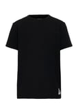 Basic Ss Tee Black Mini Rodini