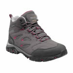 Regatta Holcombe Iep Mid Walking Boots (steel/vivacious)