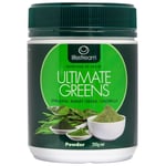 Lifestream Ultimate Greens - 200g Powder