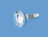 R50 230V/42W E-14 clear halogen