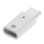 1 st USB-C hane till Lightning hona adapter Typ C laddningskabeladapter för 1:a generationens penna null - Rakt huvud