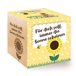 Feel Green Celebrations Ecocube, graines de Tournesol Bio avec Gravure au Laser « for Dich Soll Immer Die Sonne Scheinen » Idée Cadeau Durable