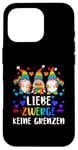 Coque pour iPhone 16 Pro LGBT Pride,Nains de jardin, Arc-en-ciel, allemand