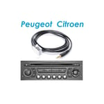 Cable jack auxiliaire mp3 audio autoradio peugeot 206 plus - skyexpert