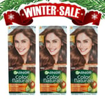 Garnier Color Naturals 6 Natural Medium Blonde Hair Color 3-Pack