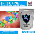 Triple Zinc Tablets 365 Citrate Bisglycinate Picolinate and Copper High Strength