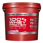 Scitec Nutrition 100% Whey Protein Professional 5 Kg Proteinpulver