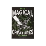 Harry Potter - Magical Creatures - Magnet