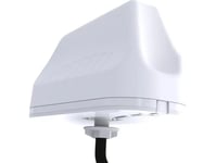 Antenne Poynting 2In1 Bilantenne Poynting Mimo-3-12 Lte