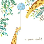 New Arrival Boy New Baby Greeting Card By The Curious Inksmith Greetings Cards