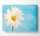 Daisy Skies Canvas Print Wall Art - Medium 20 x 32 Inches