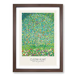 Big Box Art Apple Tree with Border by Gustav Klimt Framed Wall Art Picture Print Ready to Hang, Walnut A2 (62 x 45 cm)