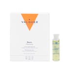 Valquer Professional Placenta Lotion Capillaire. Combat : Pellicules, Graisse, Séborrhée et Automne - Cloques de Cheveux. Stimulant Capillaire sans Sulfate - 12X15 ml