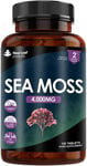 Sea Moss Supplement 120 Tablets Extract High Strength 4000mg - Vegan, UK made