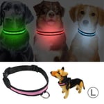 Hund-halsband med LED belysning -  L (Storlek: L)