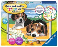 Ravensburger - 283293 - Numéro d'art Set Jack Russel Chiots