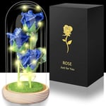 Hemiro Rose Eternelle sous Cloche, Cadeau Maman,Rose Eternelle la Belle et la Bete, Rose Eternelle avec LED dans Un Dôme en Verre, Cadeaux pour Les Femmes,Maman, Grand-mère,Amie Rose Bleue