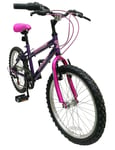 Spike 20 Inch Wheel Size Girls Mountain Bike