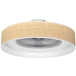 WatioWave Ventilateur DC Esparta 72 W dans une élégante couleur argentée, offre 6120 lumens, angle de 110°, trois pales et température de couleur réglable (3000K, 4000K, 6000K) avec télécommande.