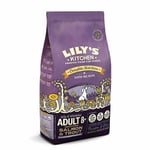 Lilys Kitchen Grain Free Senior Dry Dog Food - Salmon & Trout - 7kg