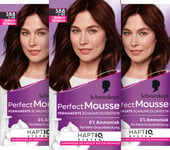 Schwarzkopf Perfect Mousse Coloration mousse permanente 388/3-88 châtain foncé (93 ml) - Coloration pour cheveux avec couverture parfaite des cheveux blancs - Coloration pour un soin intense et une