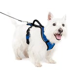 PetSafe - Harnais pour Chien EasySport avec Poignée de Contrôle, Réfléchissant, Ajustable Confortable, Rembourré – Bleu, S