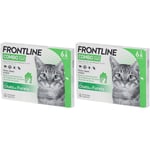 Frontline® Combo Spot-on Chats & Furets Pipette(S) Unidose(S) 2x6 pc(s)