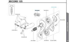 Campagnolo Bakväxel Fäste Record och Chorus 12s