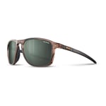 Compass Spectron 3 Polarized Vert G15