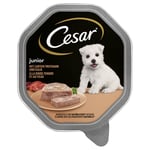 Cesar Junior i portionsform 14 x 150 g - Med kalkon och kalvkött