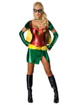 Womens Ladies Female Robin Costume Dress DC Batman Adult Halloween Fancy Dress